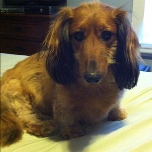 Meet your Posher, Yolanda